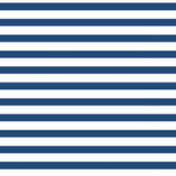 Navy Stripe 1/4 Zip Sport Top